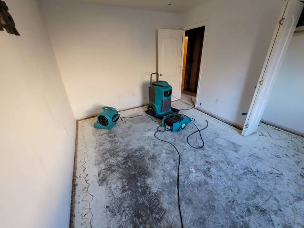 Best Sewage cleanup and water damage restoration  in Gueydan, LA